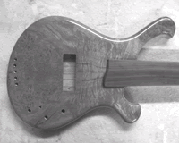 Custom Bass Guitar Turteled 1